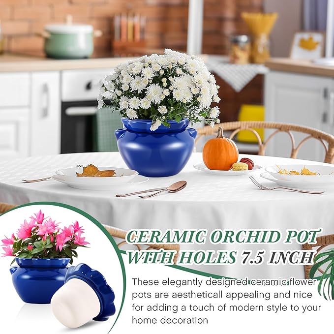 1 Sets African Violet Pots 7.5 Inch Self Watering Pot for Indoor Ceramic Self Watering Planter for Flower Lovers Ideal Plant Pot Thriving Flower Maintenance Sunnychicc