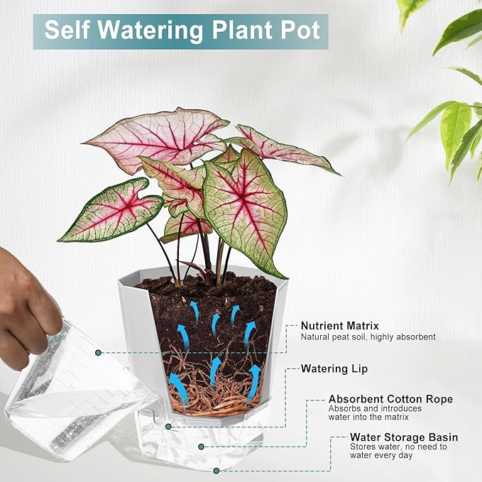 3 Pack Self Watering Planter Pots, 4.9 Inch African Violet Pots for Indoor Outdoor Windowsill Gardens, Plant Pot with Wick Rope and Reservoir Samhe