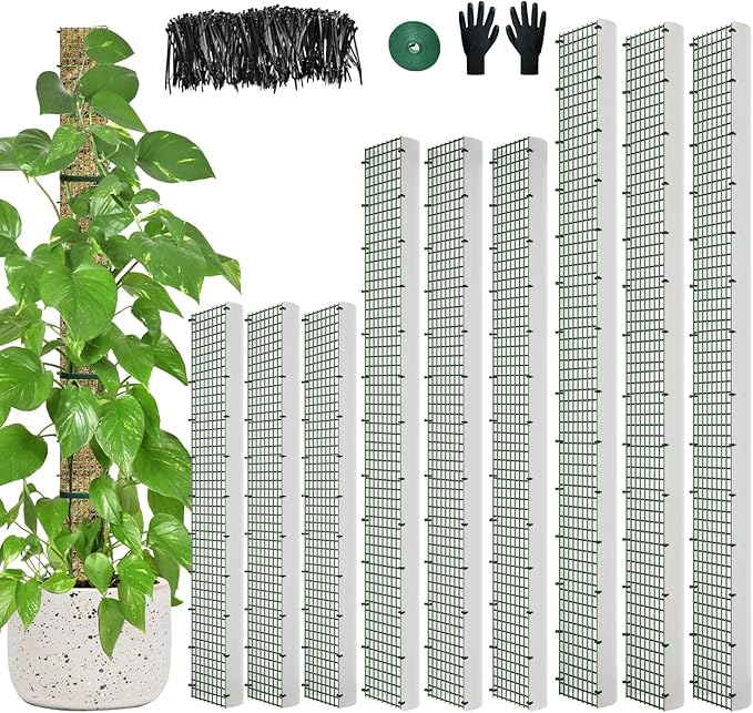 60"/40"/24" Metal Moss Pole, D Shape Sphagnum Moss Pole, Moss Poles for Climbing Plants, Monstera, Indoor Climbing Plants (3 Each of 60" 40" 24") HOLANHING