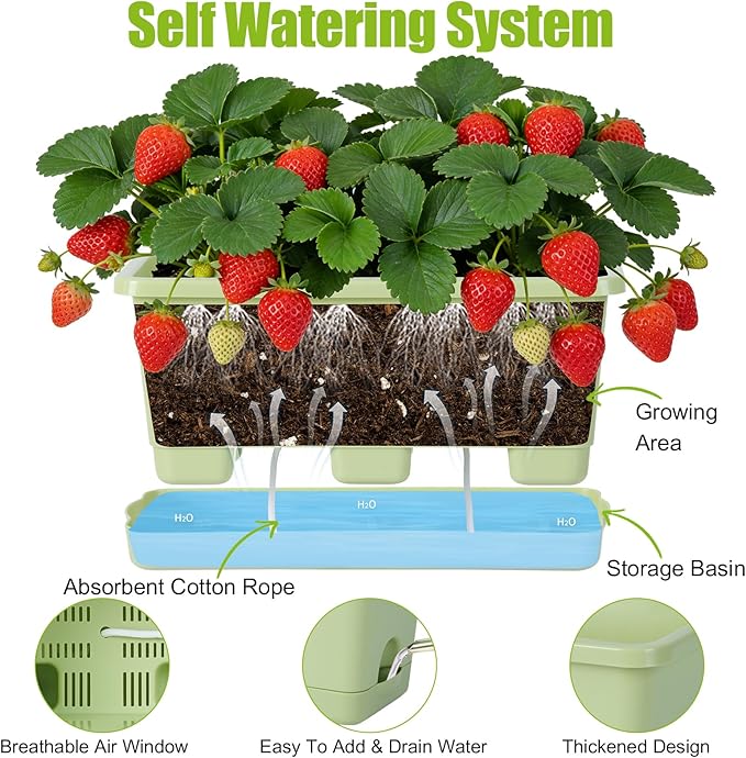 Window Box Planter 6 Packs, 13.8 Inches Rectangle Flower Pots with Drainage Holes & Trays, Pots for Vegetables, Herbs, Flowers, Garden Windowsill Balcony (Green) Oliz