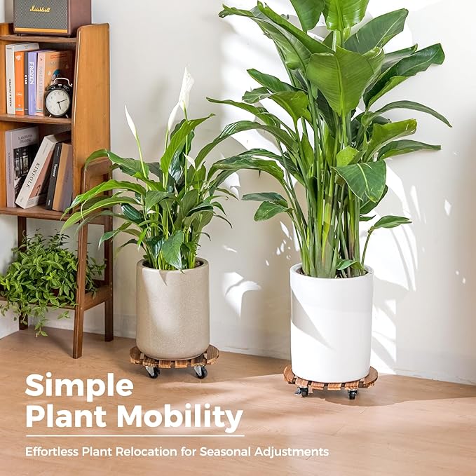 Bamworld14 Inch Wood Plant Caddy with Wheels – Heavy-Duty Plant Dolly with 240 Lbs Capacity, 360° Lockable Wheels for Large Plant Pots, Heavy Objects, Ideal for Indoor and Outdoor Use 2-Pack Bamworld