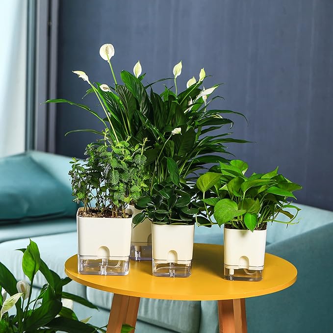 Planterhoma Self Watering Plant Pots for Indoor Plants 4.3 inch, 6 Packs Square Self-Watering Planters with Drainage Hole, White African Violet Pots for Devil's Ivy, Spider Plant, Orchid, Herb Planterhoma