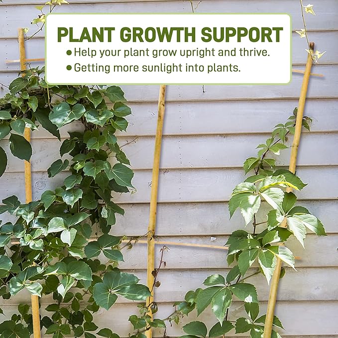Avalution 10 Pack Bamboo Trellis for Climbing Plants, 2 FT Garden Ladder Trellis for Potted Plants Indoor, Fan-Shaped Small Plant Support Trellis for Houseplants Ivy Hoya Vine Monstera Avalution