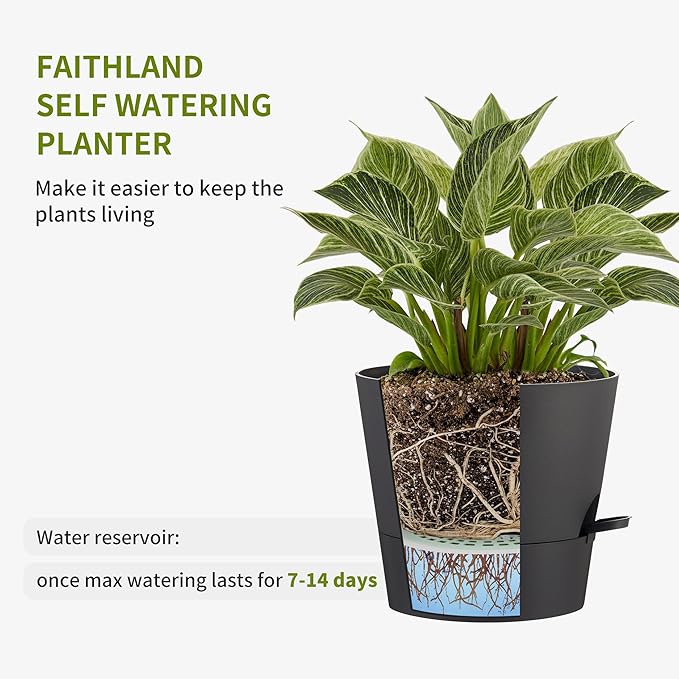 FaithLand 2-Pack 9 Inch Planter Pots for Indoor Outdoor Plants, Self Watering Flower Pots with Deep Reservoir, Black with Terracotta … FaithLand