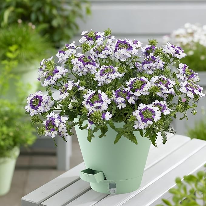 Self-Watering-Pots-for-Indoor-Plants, 8 Inch Flower Pots for Indoor Plants, 3 Packs Plastic Planters with Drainage Holes and Saucers Pottiffe