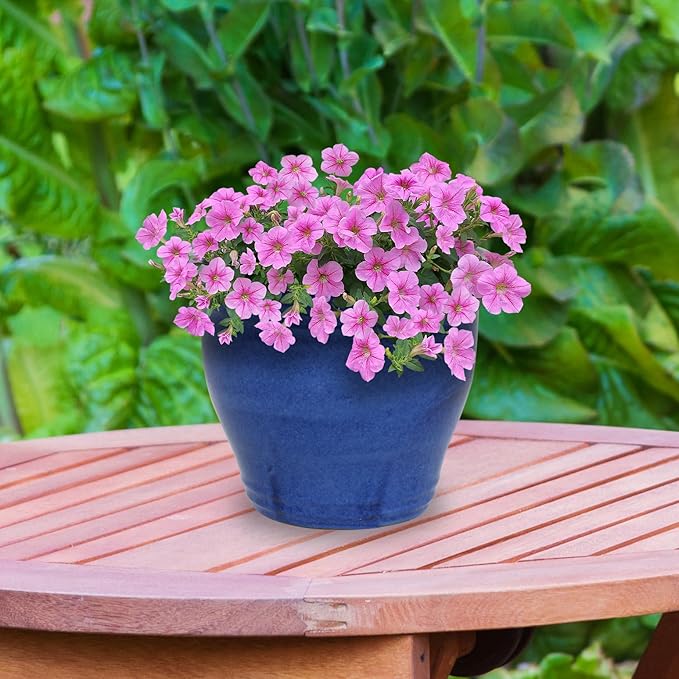 Sunnydaze Large Ceramic Plant Pot - Round Outdoor Glazed Ceramic Planter Pot with Drainage - Studio - Imperial Blue - 14.5" SunnydazeDecor