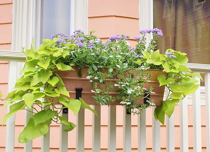 Achla Designs C-20C Copper Plated Flower Box, Medium Window Flowerbox Planter ACHLADesignsHomeGarden