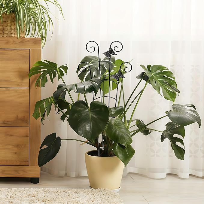 30'' Larger Plant Trellis Indoor, Expandable Metal Trellis for Climbing Plants Indoor, House Plant Climbing Support for Monstera Hoya Pothos, 4P Xeeol