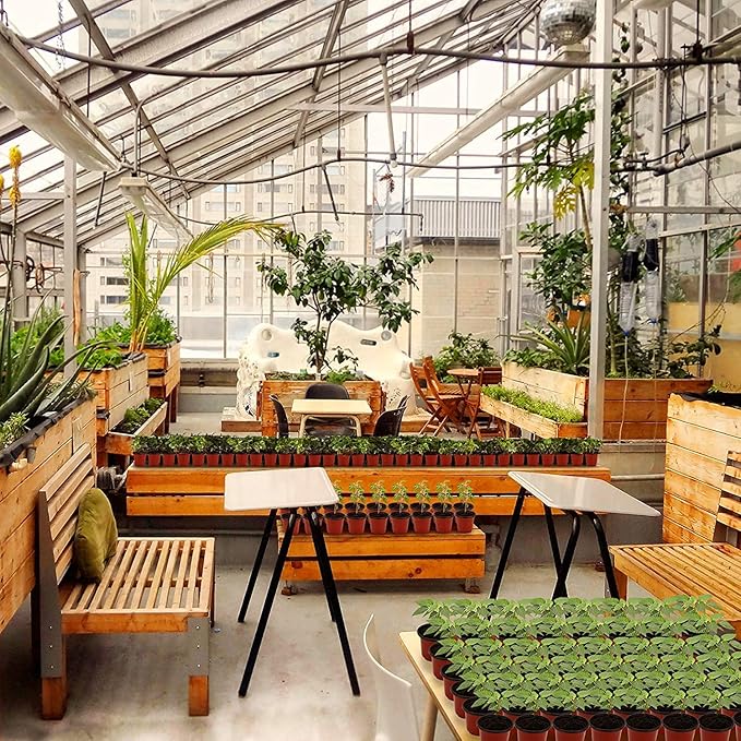 MIXC Plant Nursery Pots with Humidity Dome 4" Soft Transparent Plastic Gardening Pot Planting Containers Cups Planter Small Starter Seed Starting Trays for Seedling with 10pcs Plant Labels，30 Sets MIXC