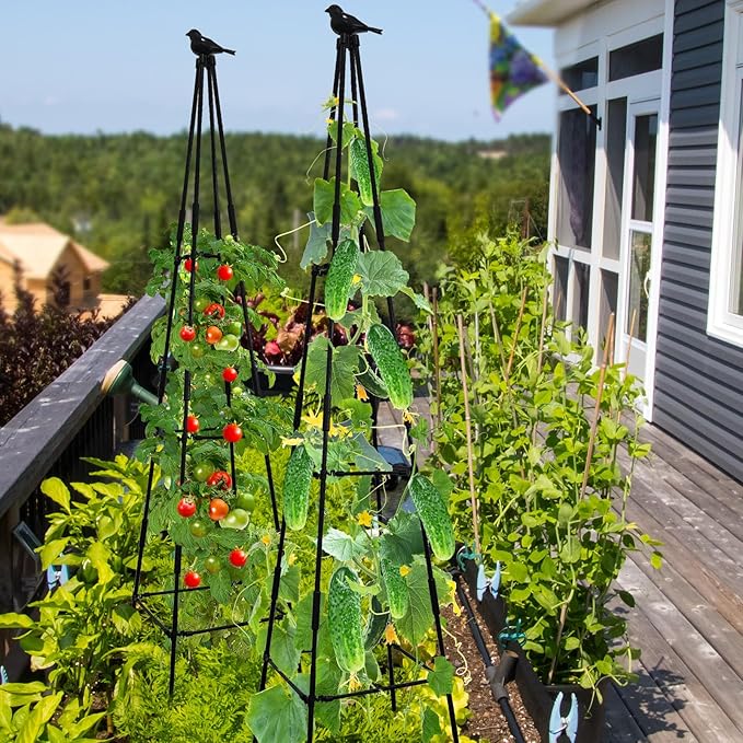 Lalahoni Garden Trellis for Climbing Plants, 67inch Tall Garden Obelisk Trellis for Climbing Potted Plant Outdoor Support Vine Flower Rose Vegetable Tomato Cucumber Trellis, Lightweight, 2 Pack Thereasonyoulovegardening