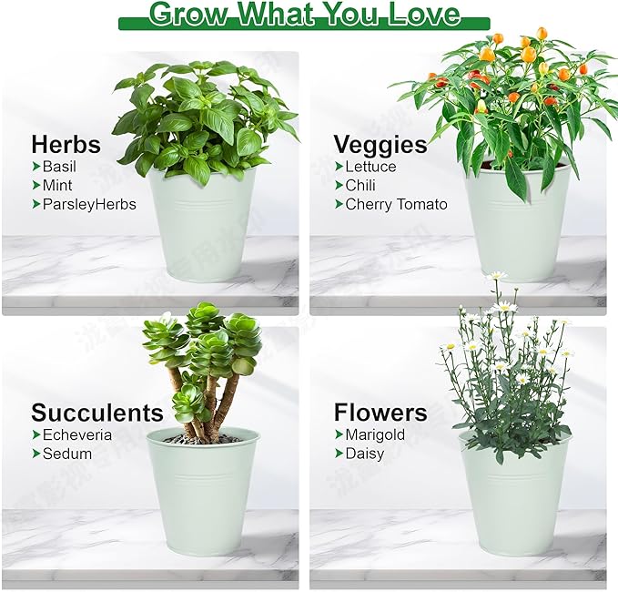 Herb Garden Planter Indoor Kit – 6 Metal Pots with 2 Trays for Windowsill & Kitchen Counter – Modern Decorative Indoor Planters for Herbs, Succulents & Small Plants, Mint Wacloud