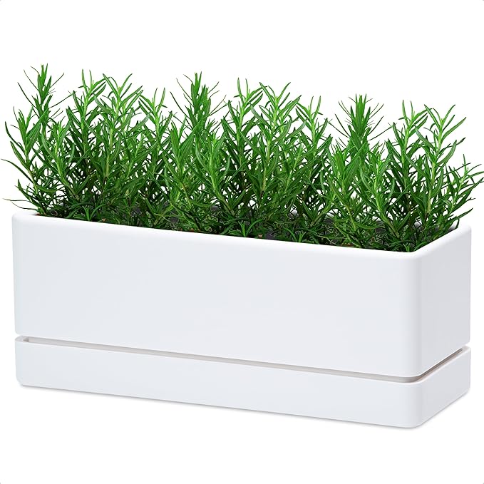 D'vine Dev 12 Inch Window Box Planter, Rectangle Plastic Herb Planter with Drainage Holes and Saucer, Indoor Succulent Cactus Vegetable Pot for Windowsill, Garden Balcony, White, Set of 1, 76-X-A-1 DvineDevPlanterPotsandStand