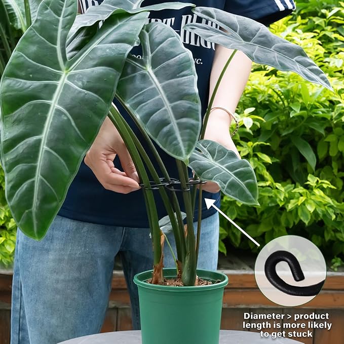 Monstera Plant Support Hook - 4.1x4.1IN 5PCS, Durable Adjustable Stem Support System, Gentle Protection for Monstera and Fishbone Cactus, Professional Indoor Plant Stabilizer Yohsnor