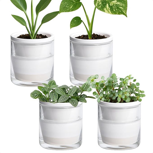 D'vine Dev 4 Inch Design Self Watering Planter for Indoor Plants, White Terracotta Pots with Cylinder Glass Cup, Set of 4, 37-Z-A-2-F DvineDevPlanterPotsandStand