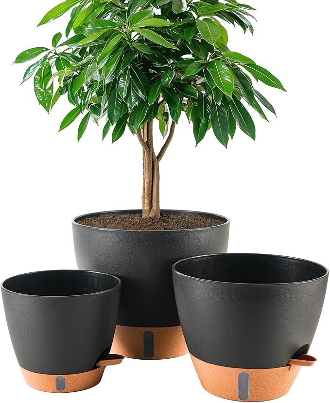 8/10/12 Inch Self Watering Pots for Indoor/Outdoor Plants - Large Plastic Planter with Drainage Holes, Water Level Indicator & Deep Reservoir, Modern Decorative Flower Pots (Black) Fielda