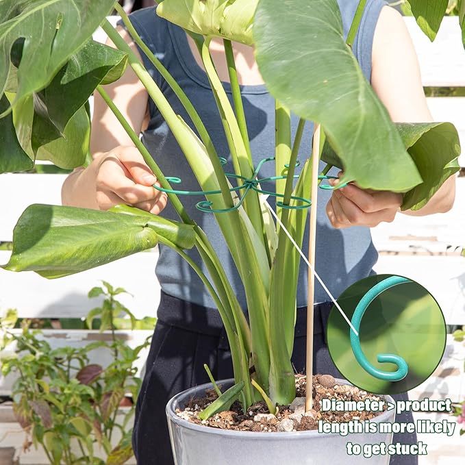 Monstera Plant Stem Support 5 Pcs - 7.5” Indoor Plant Stabilizer Holder for Monstera & Climbing Plants - Durable, Lightweight, Easy to Use for Optimal Growth & Stability - Home Décor Friendly Yohsnor