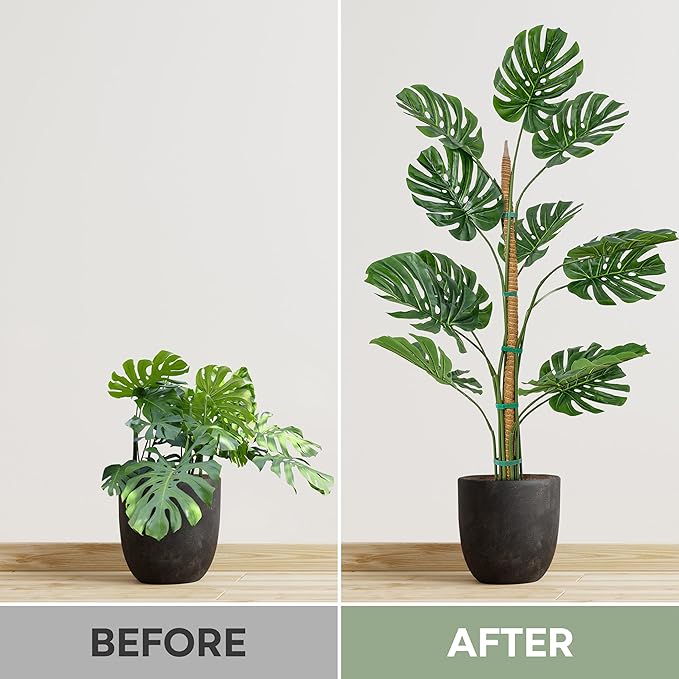 2 Pack 63'' Bendable Moss Pole Monstera Plant Support for Large Climbing Indoor Plants - Stakes for Potted Climbers - Tall Sticks Indoor Trellis for Houseplants - Accessories for Monstera Pot K-BRANDS