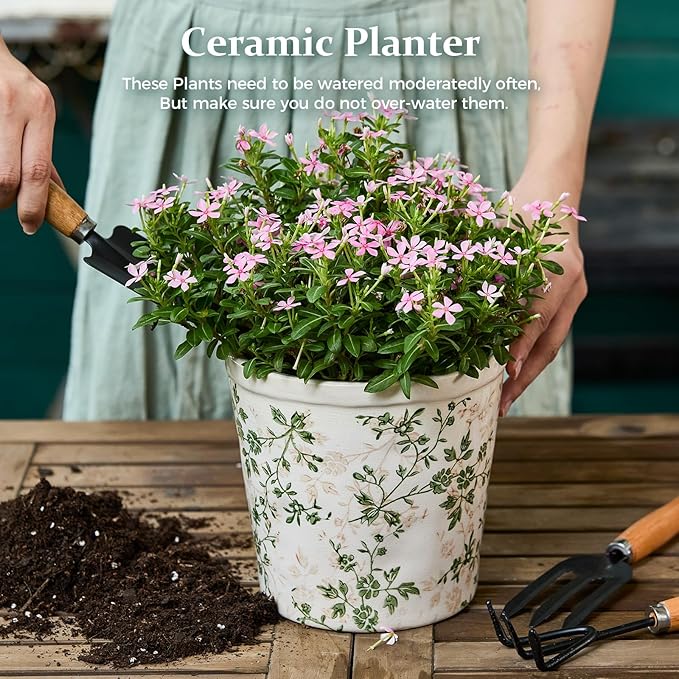 Ceramic Planter Without Drainage Hole, 6.7 Inch - Indoor/Outdoor Flower Pot for Orchids, Succulents, Green Floral Modern Farmhouse Design Plant Pot for Home,Office & Garden Décor, Ideal Gift TEWEIQI