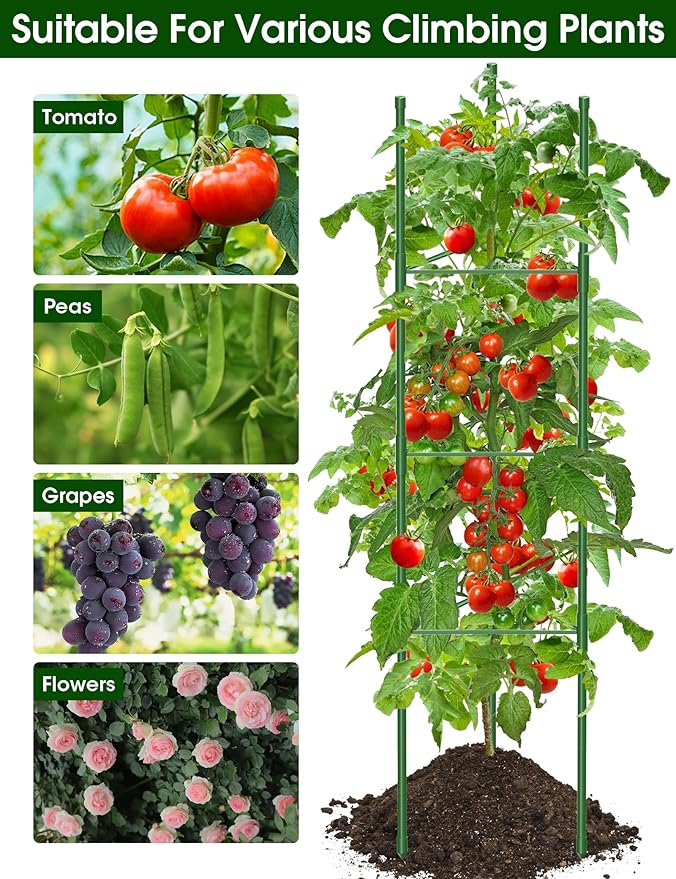 Tomato Cage, 3Pack 51.2inch Tall Tomato Trellis Triangle Tomato Cages for Garden Climbing Plants, Raised Garden Bed Plant Support Stakes for Garden,Pots, Plant Cages & Supports（Extra Bold） GrowYourGreenParadise
