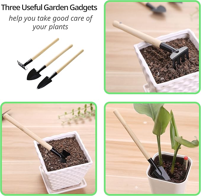 Plant Saucer, 7 Pack 8 10 12 14 15 Inch Durable Plastic Plant Trays for Pots, White & Black Round Plant Pot Saucers, Drip Tray for Indoor and Outdoor Garden (8", for 5 6 Inch Pot) Lifecouldbesointeresting