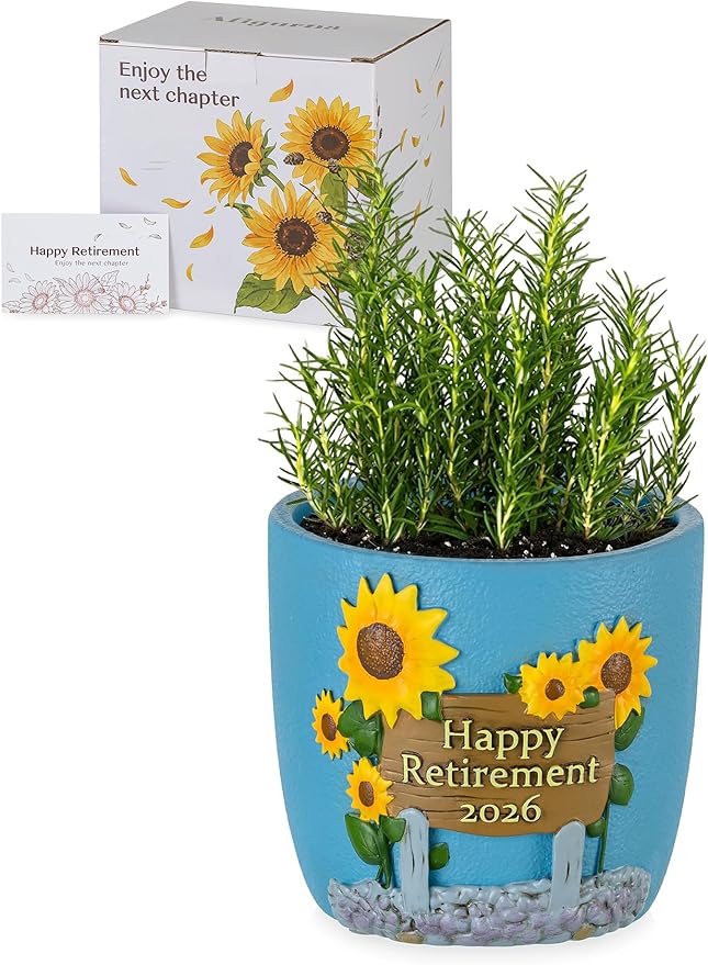 Retirement Gifts for Woman 2026: Happy Retirement Gifts for Women Nurse Teacher Coworker - Unique Retired Garden Gifts for Decoration - Hand-Painted Plant Pot Present with Gift Box and Card Rootora