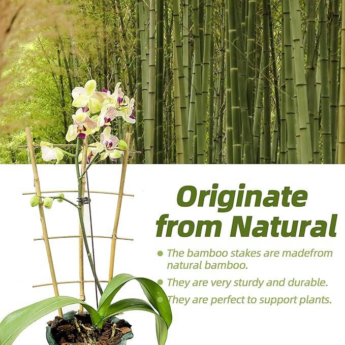 5 Pack 16" Bamboo Trellis for Climbing Plants-Natural Garden Ladder Fan -Shaped Plants Support Trellis for Potted Plant Decor in Door Biotolot