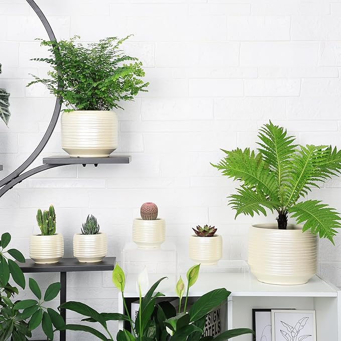 8 Inch + 6 Inch Ceramic Plant Pots Indoor with Drainage – Flower Pot Set, Decorative Indoor Planters for House Plants and Garden Use Bestseler