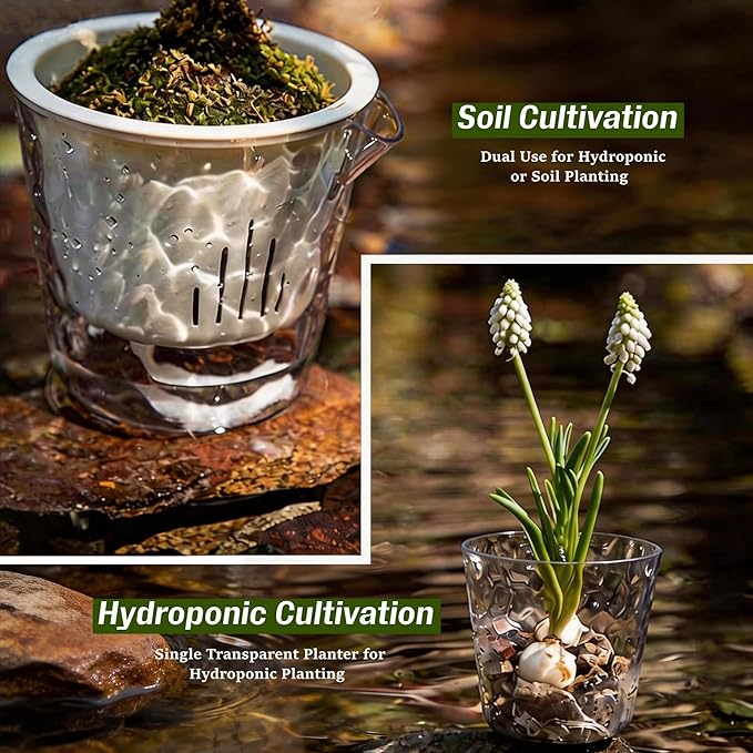 InmeRun Plant Pots Indoor Plastic Flower Pots Outdoor 5 inch Set of 6 Pack with Drainage Holes and Saucers for Garden Pots (self Watering 5in-6p) InmeRun