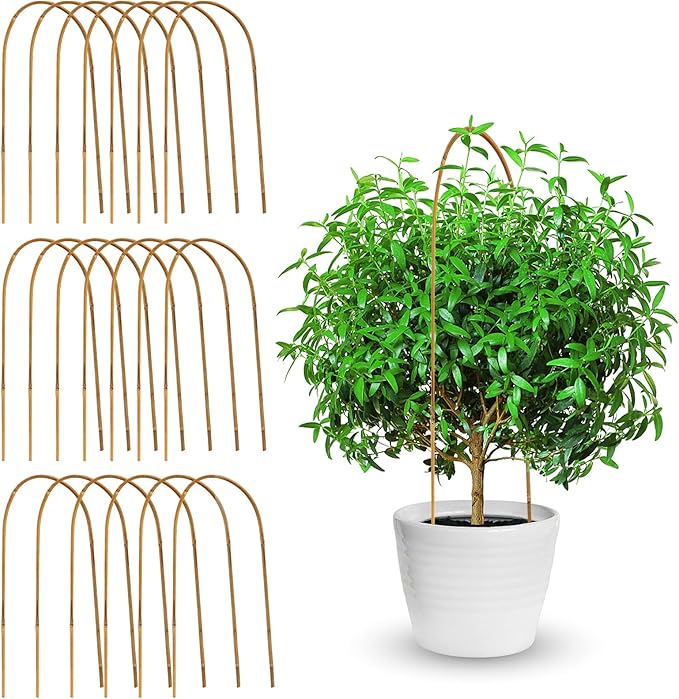 Coloch 20 Pack Bamboo U Trellis Support, 16 Inch U Loop Plant Stake Arch Garden Trellis for Potted Plants, Climbing Flowers and Vines, Ivy, Outdoor Planting Coloch
