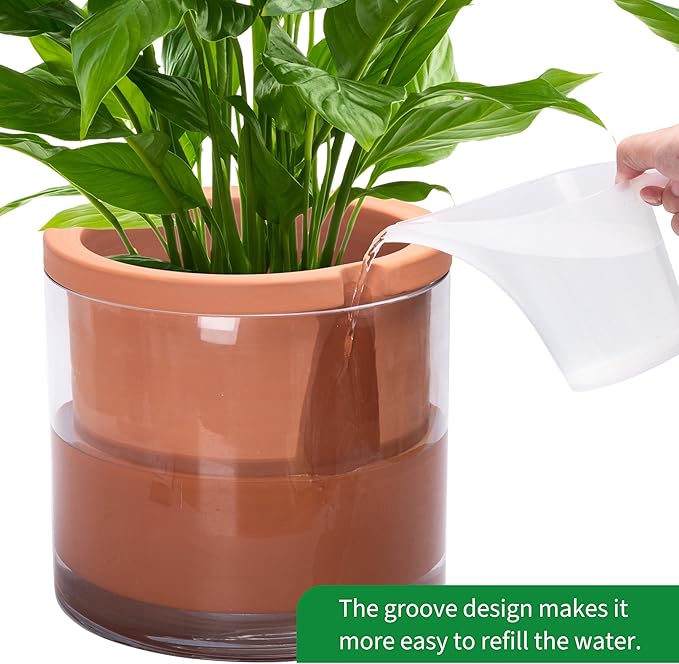 Phoenix Vine 10 Inch Self Watering Planter, White Terracotta Pot for Plants, Indoor Cylinder Terra Cotta Pot with Glass Vase Phoenix+Vine