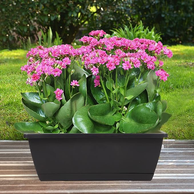 8pcs Window Box Planter,17 Inches Flower Window Boxes,Rectangle Planters Box with Drainage Holes and Trays, Plastic Vegetable Planters for Windowsill Patio Garden Home Decor Porch Yard (Black) Hananojia