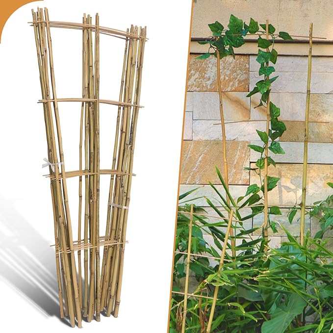 10 Pack 4ft Bamboo Trellis for Climbing Plants - Fan-Shaped Support Trellis for Potted Plant Decor in Door Biotolot