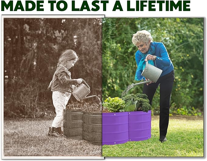Plant & Plot Galvanized Raised Garden Beds Outdoor // 3×3×1 ft Planter Raised Beds for Gardening, Vegetables, Flowers // Large Metal Garden Box (Purple) // Patented Tool-Free Design PlantPlot