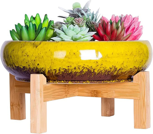 ARTKETTY Succulent Pots - 10 Inch Ceramic Bonsai Pots with Drainage Stand, Large Shallow Planters for Indoor Plants Glazed Cactus Flower Planter Container Bowl ARTKETTY