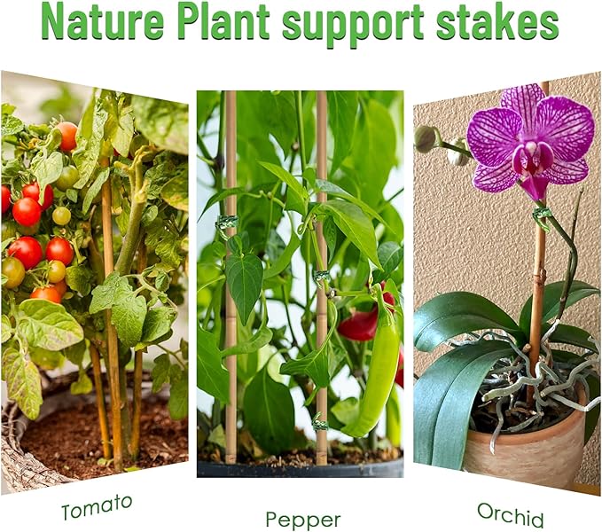 35Pcs Plant Stakes,Premium Natural Bamboo Garden Stakes,Bamboo Sticks Support for Indoor and Outdoor Plants,Tomato,Vegetables Beans,Potted and Climbing Plants POLIUMB