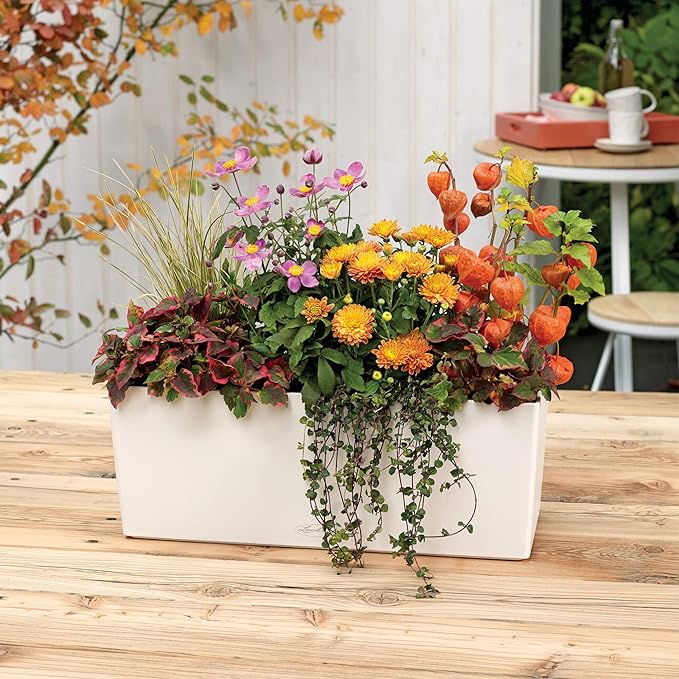 Lechuza BALCONERA Color 50 White, Self-Watering Window Box (Railing Planter), H7.5 L19.7 W7.5 in LECHUZA