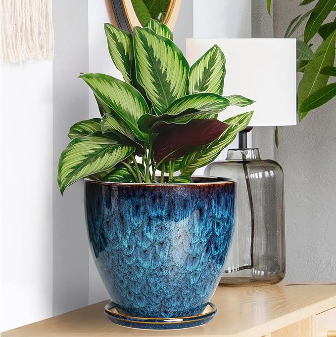 Ceramic Plant Pot, 6.3 Inch Ceramic Planter Pot with Drainage Hole and Saucer, Succulent Round Flower Pot for Indoor Plants Outdoor, Blue EPFamily