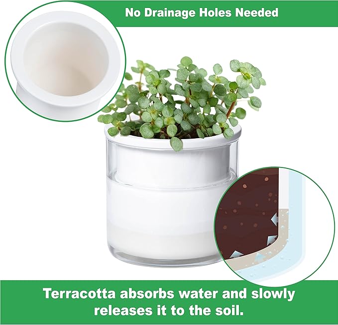 Phoenix Vine 4 Inch Self Watering Planter Pot, Design White Terracotta Pots for Plants, Indoor Cylinder Terra Cotta Pots with Glass Vase, Set of 1, 51-B-E-1 Phoenix+Vine