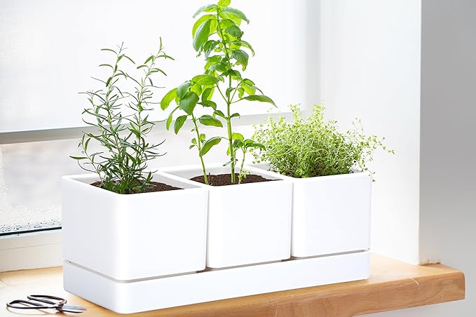 D'vine Dev Herb Garden Planter Set, Plastic Plant Pots with Drainage and Saucer, Indoor Succulent Cactus Vegetable Pot for Windowsill, Garden Balcony, White, Set of 2, 76-V-A-2 DvineDevPlanterPotsandStand