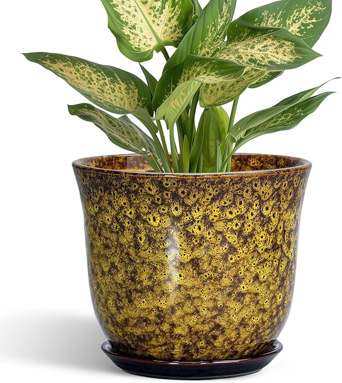 Ceramic Plant Pots - 5.6 Inch Planter with Drainage Hole and Saucer, Succulent Orchid Pots for Indoor Outdoor, Small Round Flower Pot, Room Window Office Decor, House Warming Gifts, Yellow SUNPOTFOR