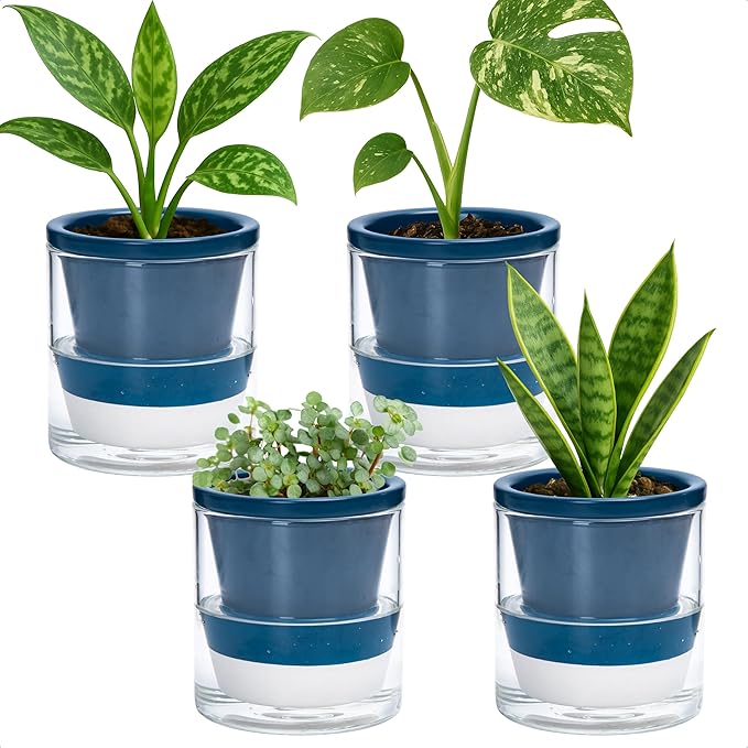 D'vine Dev 4 Inch Design Self Watering Planter for Indoor Plants, Blue Terracotta Pot with Cylinder Glass Cup, Set of 4, 37-Z-A-4-F DvineDevPlanterPotsandStand