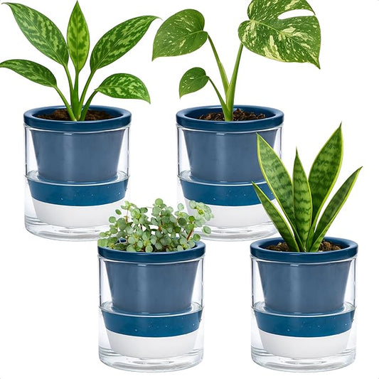 D'vine Dev 4 Inch Design Self Watering Planter for Indoor Plants, Blue Terracotta Pot with Cylinder Glass Cup, Set of 4, 37-Z-A-4-F DvineDevPlanterPotsandStand