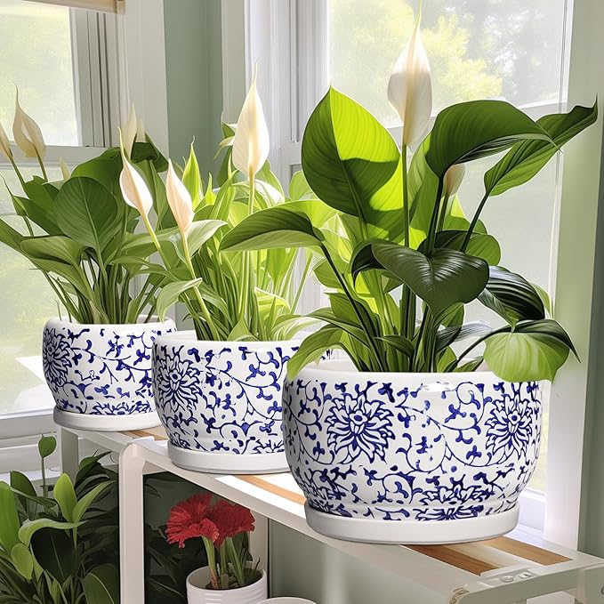 SQOWL 6 Inch Planter - Ceramic Plant Pots Indoor with Drainage Hole and Saucer, Round Ceramic Flower Pot Outdoor, Porcelain Decorative Planter, Backyard Decor, Gifts for Plant Lovers, Blue and White SQOWL