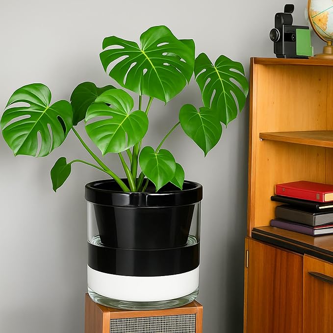 D'vine Dev 10 Inch Design Self Watering Planter for Indoor Plants, Black Terracotta Pot with Cylinder Glass Cup, 37-X-D-3 DvineDevPlanterPotsandStand