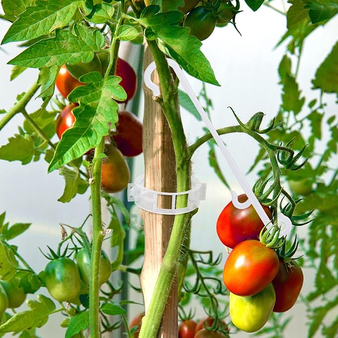 250 Pcs Tomato Clips, Plant Support Clips and J Tomato Hooks, Plastic Trellis Clip Vegetable Cages Vine Garden Clip for Tomatoes Cucumber Grape Melon, Makes Plants Grow Upright or Prevent Falling Off Unves