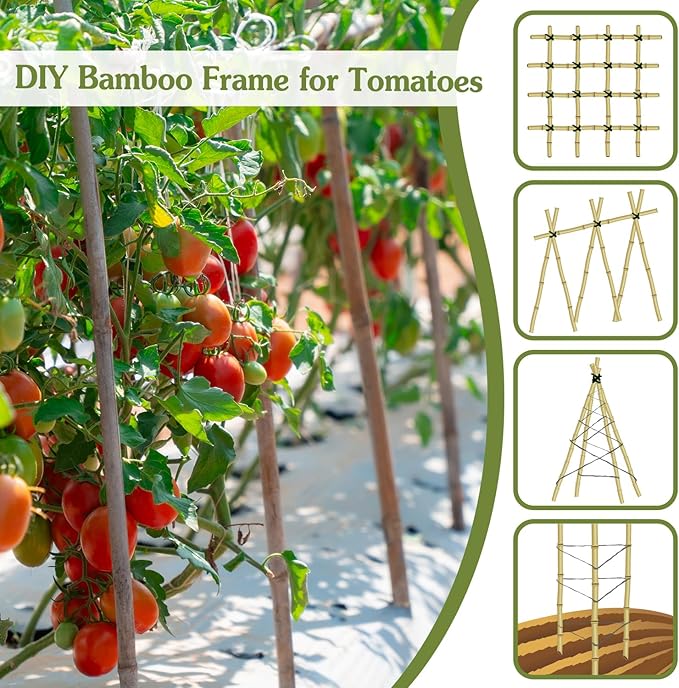 Plant Stakes 3FT, Natural Bamboo Stakes, HAINANSTRY 25Pcs Sturdy Bamboo Garden Stakes, Bamboo Sticks for Plants, Beans, Indoor and Outdoor Climbing Plants, Tomato Vegetable Stakes for Garden HAINANSTRY