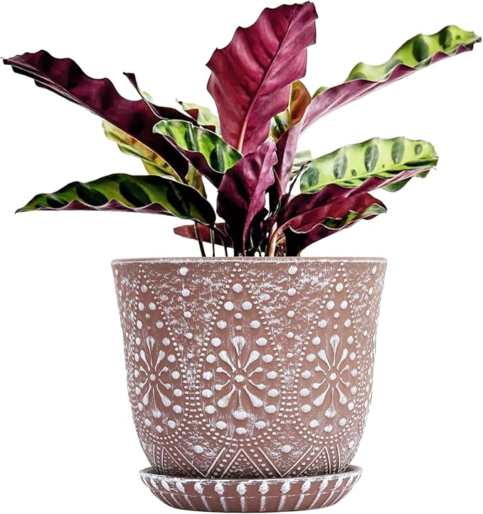 Gepege 8 Inch Plant Pot for Plants, Ceramic Planter with Drainage Holes and Saucers for Indoor Plants Large Flower Pot Gepege