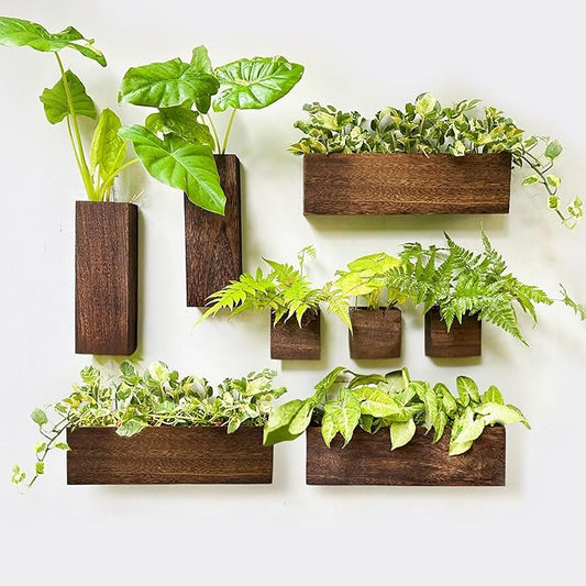 LaLaGreen Wood Planter Box for Plants (8 Pack) Wooden Wall Hanging Planters for Indoor Plant Holder Vase for Dried Flowers, Modern Country Rustic Wall Decor Living Room Bedroom Office Home Garden L%C3%A1L%C3%A1Green