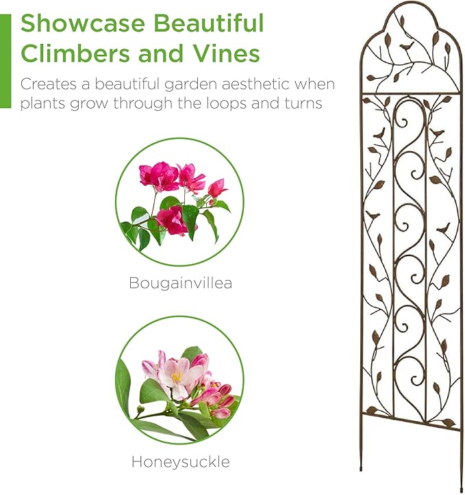 Best Choice Products Set of 2 60x15-inch Iron Arched Garden Trellis w/Branches, Birds for Lawn, Garden, Backyard, Climbing Plants BestChoiceProducts