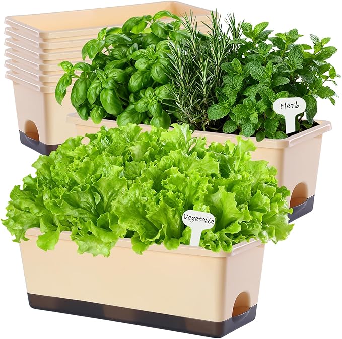 Window Box Planter 8 Pcs, 17 Inches Rectangle Flower Pots with Drainage Holes & Trays, Vegetable Planters for Windowsill Patio Garden Balcony Home Indoor Outdoor (Barley Yellow, 16 * 7 * 6 inch) Oliz